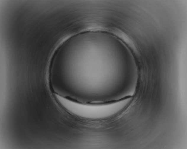 X0000093221229200710101339