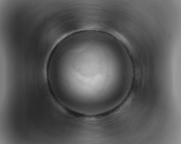 X0000093221230200710101339