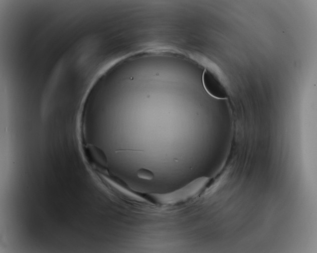 X0000093221231200710101339