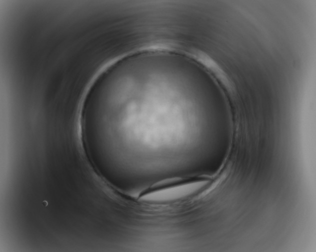 X0000093221232200710101339