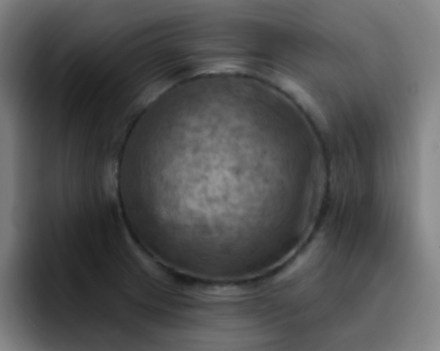 X0000093221233200710101339