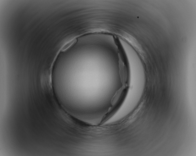 X0000093221234200710101339