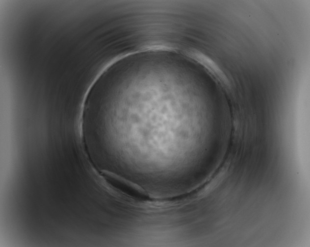 X0000093221236200710101339