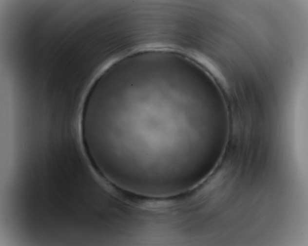 X0000093221237200710101339