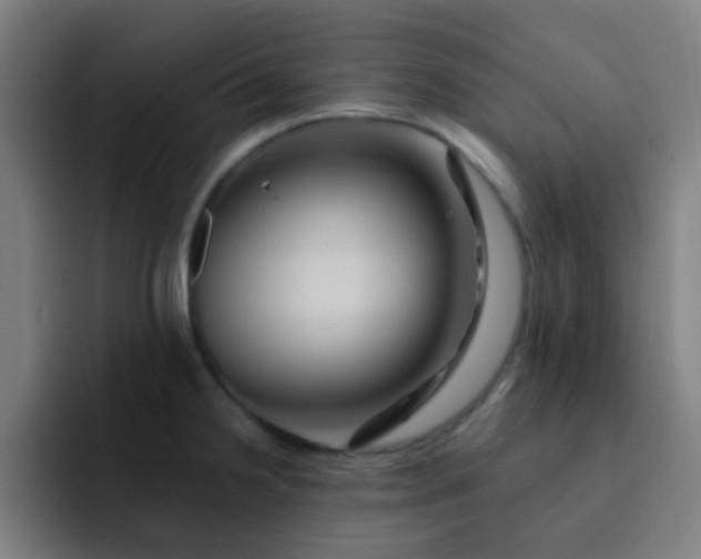 X0000093221238200710101339