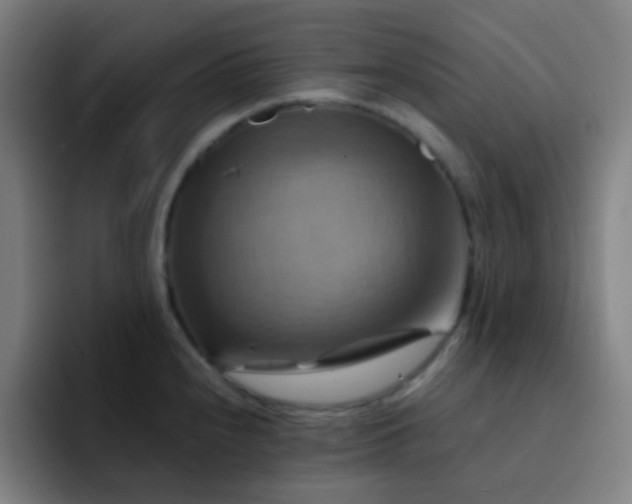 X0000093221240200710101339