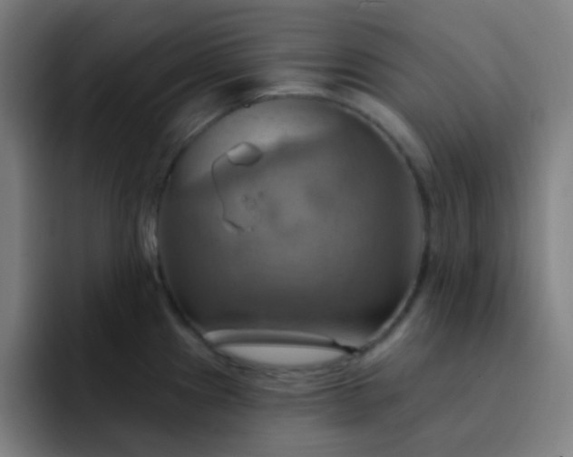 X0000093221241200710101339