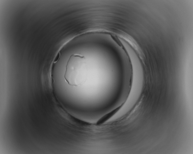 X0000093221242200710101339