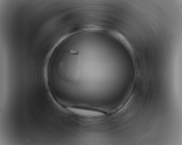 X0000093221243200710101339