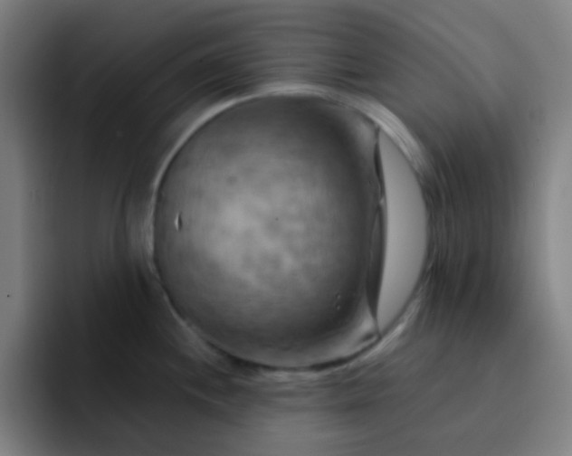 X0000093221244200710101339