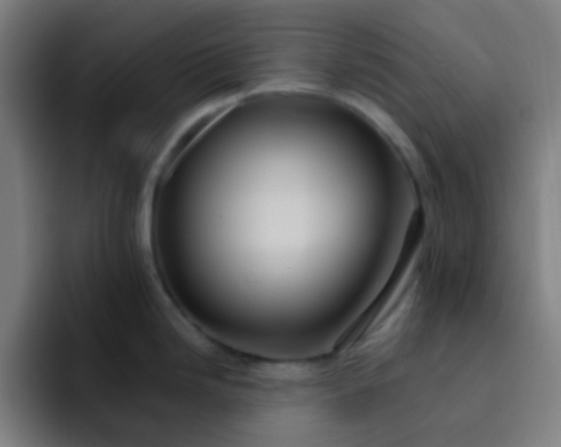 X0000093221246200710101339