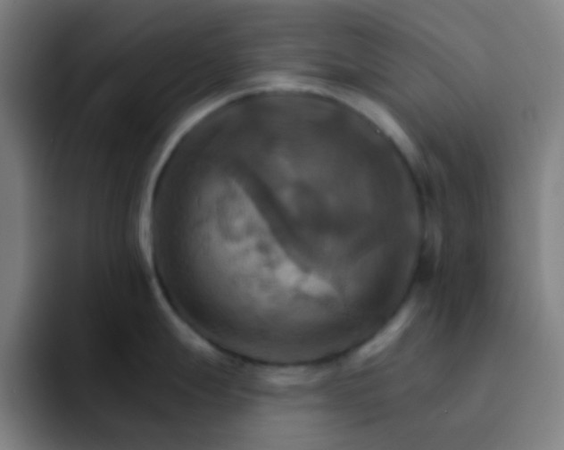 X0000093221247200710101339