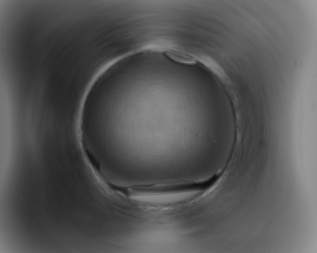 X0000093221248200710101339