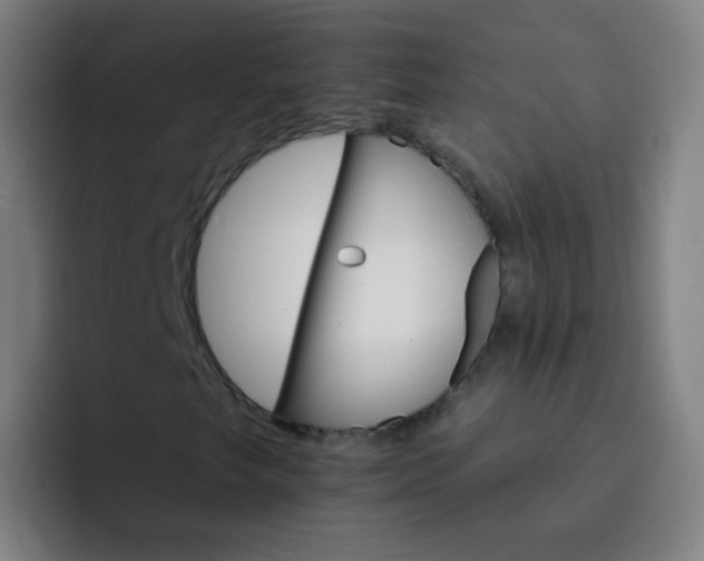 X0000093221249200710101338