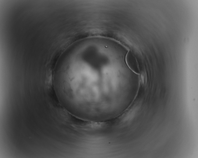 X0000093221251200710101338