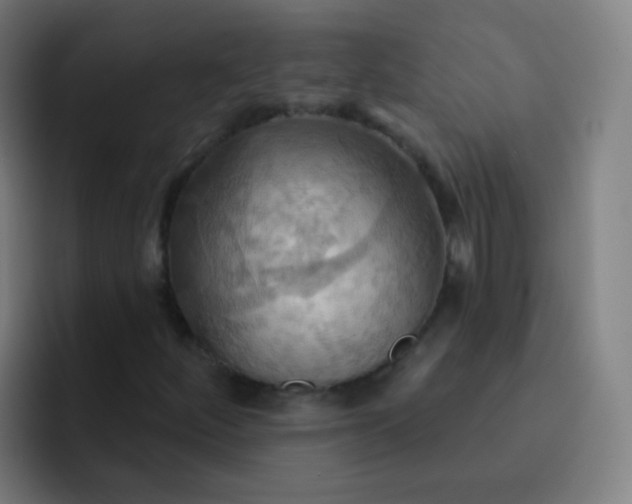 X0000093221252200710101338