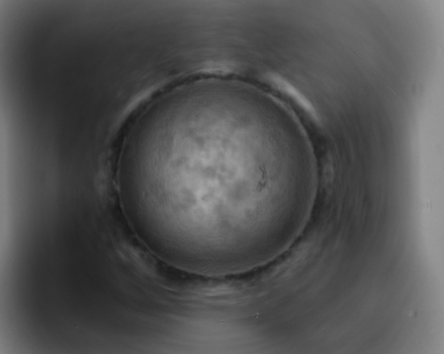 X0000093221256200710101338