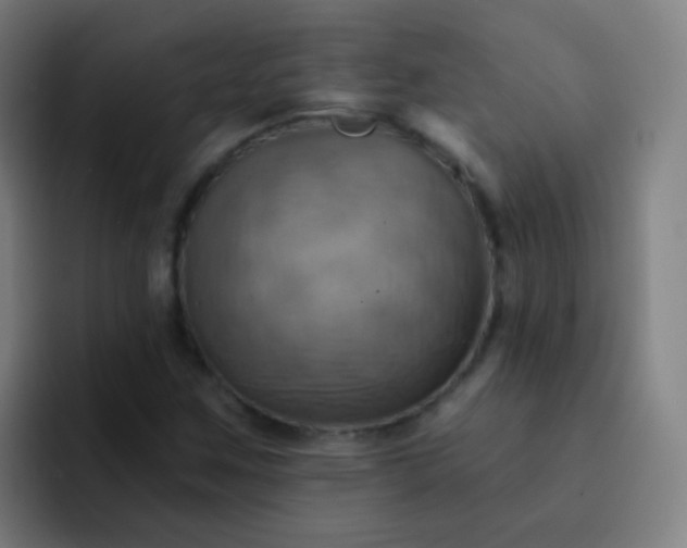 X0000093221259200710101338