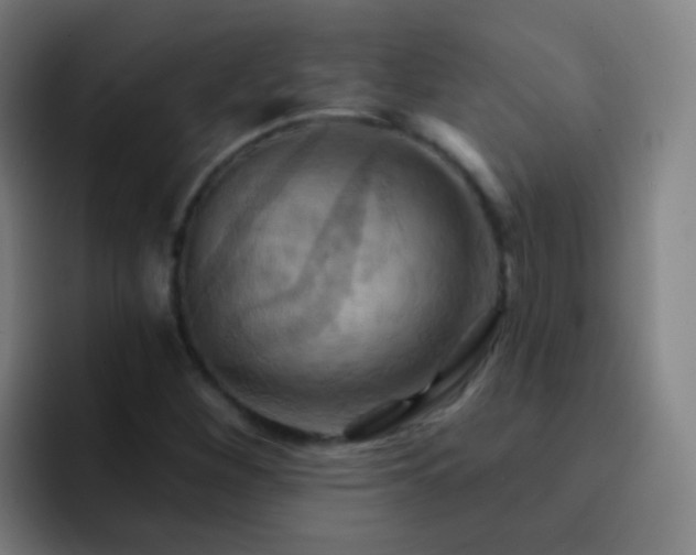 X0000093221260200710101338