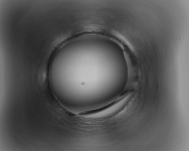 X0000093221261200710101338