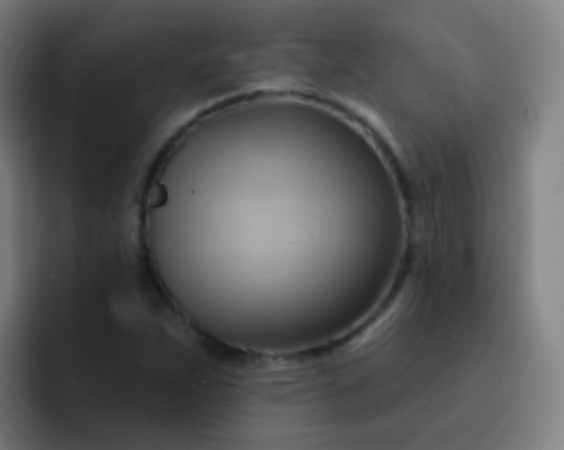 X0000093221263200710101338