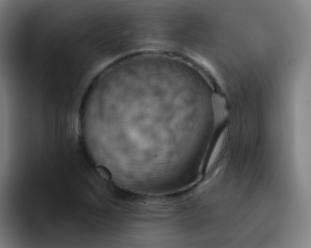 X0000093221267200710101338