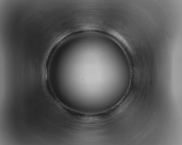 X0000093221269200710101338