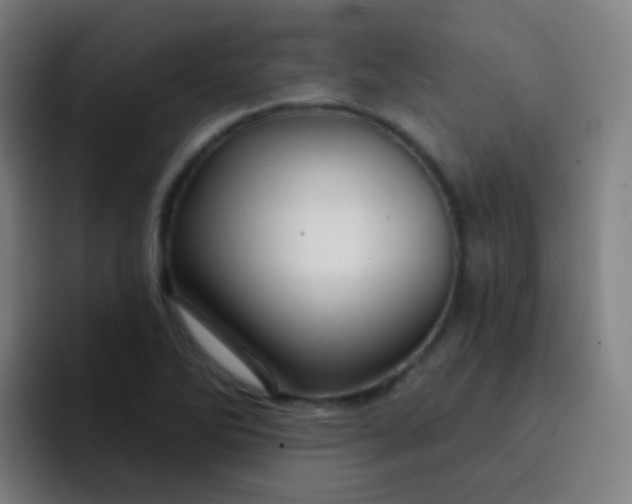 X0000093221270200710101338