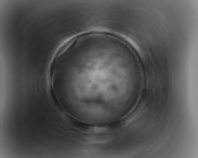 X0000093221271200710101338