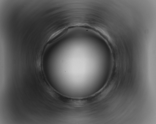 X0000093221273200710101338