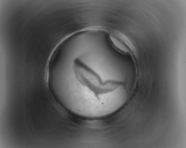 X0000093221276200710101338