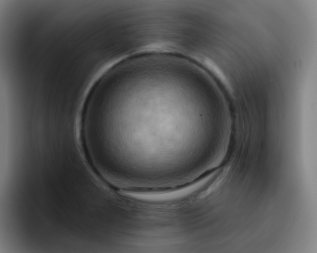 X0000093221277200710101338