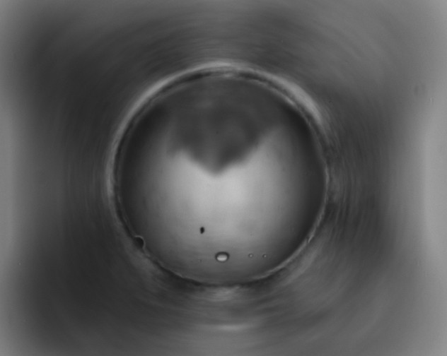 X0000093221279200710101338