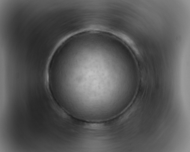 X0000093221280200710101338