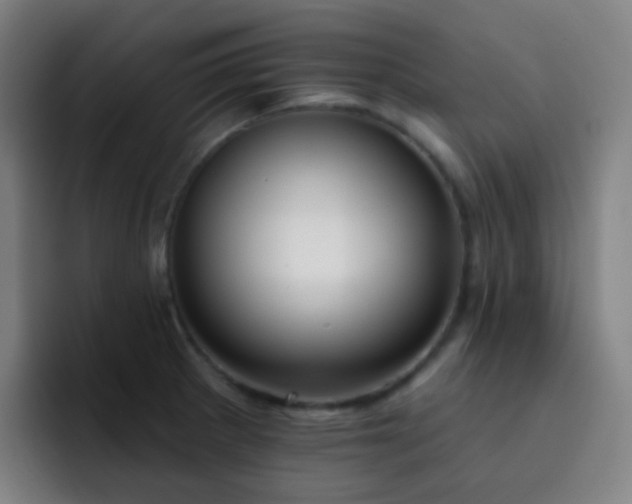 X0000093221281200710101338