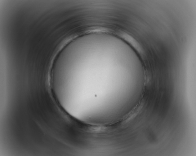 X0000093221282200710101338