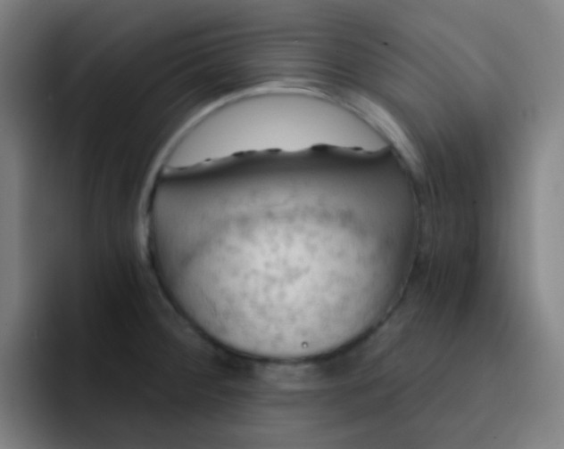 X0000093221284200710101338