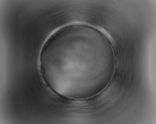 X0000093221287200710101338