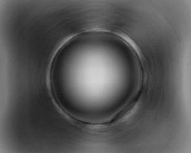 X0000093221293200710101338