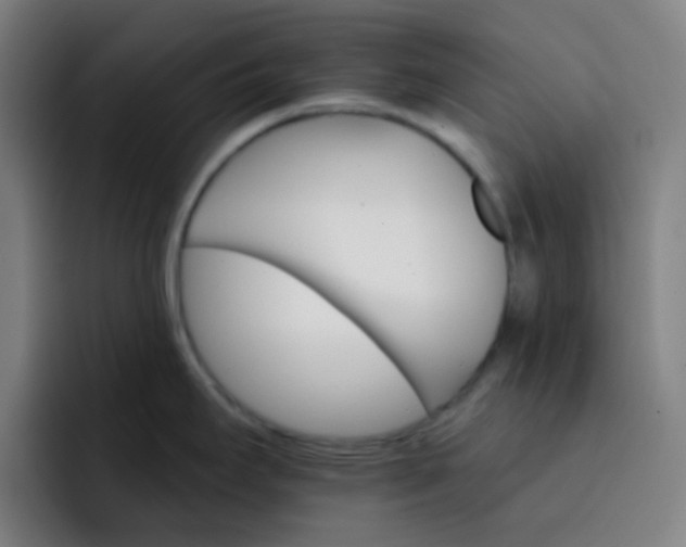 X0000093221295200710101338