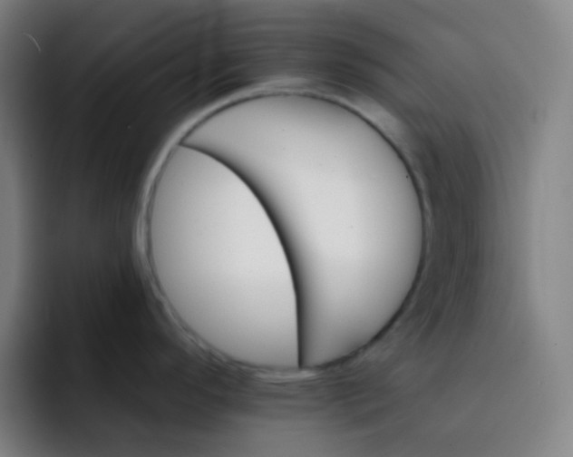 X0000093221296200710101338