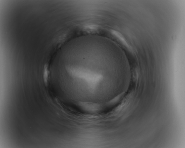 X0000093221298200710101337