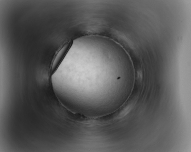 X0000093221300200710101337