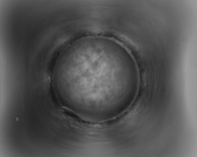 X0000093221302200710101337