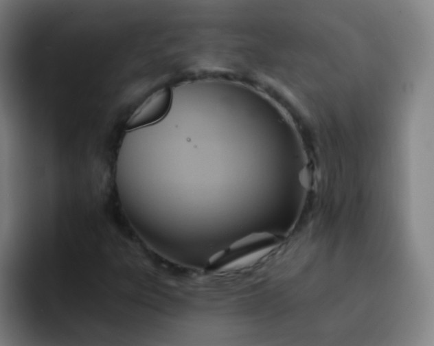 X0000093221303200710101337