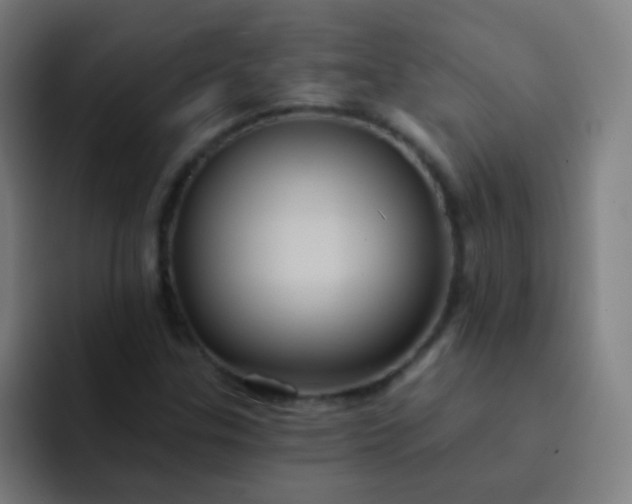 X0000093221307200710101337