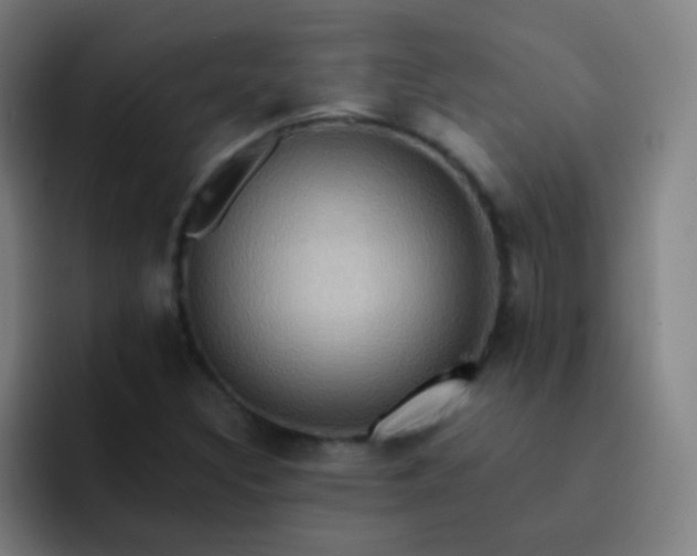 X0000093221308200710101337