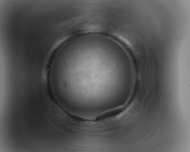 X0000093221309200710101337