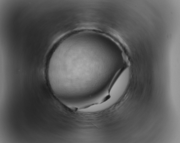 X0000093221312200710101337