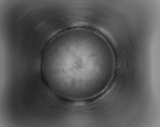 X0000093221313200710101337